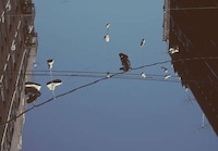 Big Apple Throwback Blogs Image 7