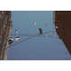 Big Apple Throwback Blogs Image 7