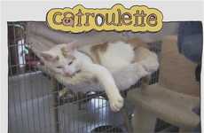 Online Chat-Inspired Adoption