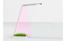 Grass-Growing Fixtures