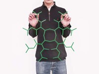Intricate Honeycomb Espaliers Image 2