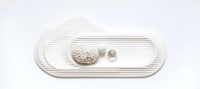 Tasteful Topographical Trays Image 3