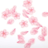 Elegant Japanese Party Poppers Image 4