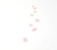 Elegant Japanese Party Poppers Image 6