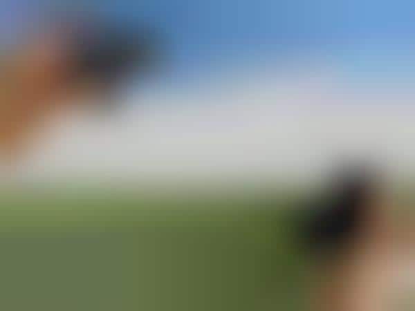 Manual Scene-Cropping Photography