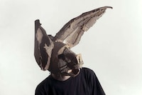 Cardboard Animal Masks Image 4