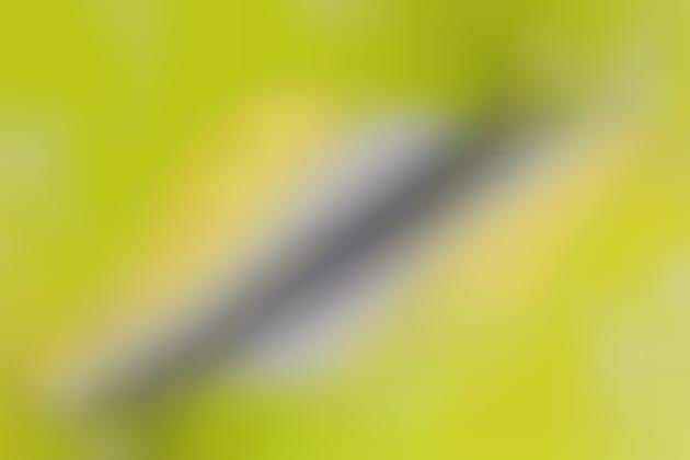 Neon Tropical-Inspired Sneakers