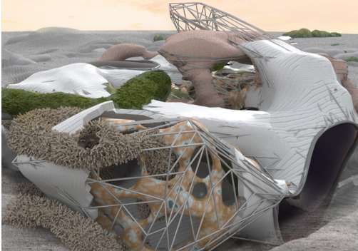 Environmentally Integrated Architecture