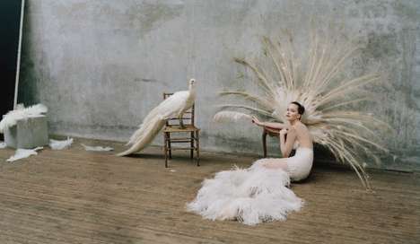 Feathery Avant-Garde Photoshoots