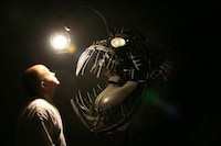 Terrifying Sea Creature Lighting Image 2