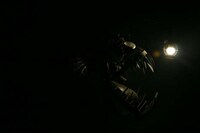Terrifying Sea Creature Lighting Image 4