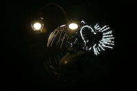 Terrifying Sea Creature Lighting Image 5