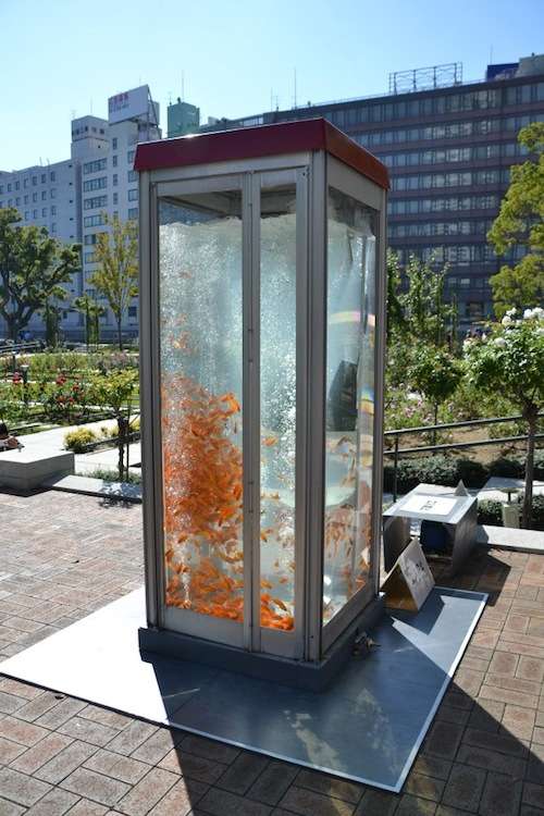 40 Atypical Aquariums