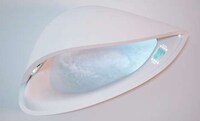 Luxurious Clamshell Jacuzzis Image 4