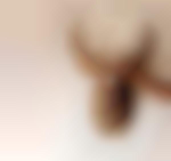 Reycled Taxidermy Lighting