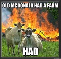 Creative Picture Captioning Image 2