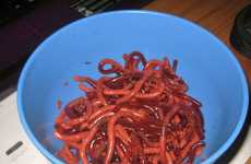 Squirmy Edible Insects