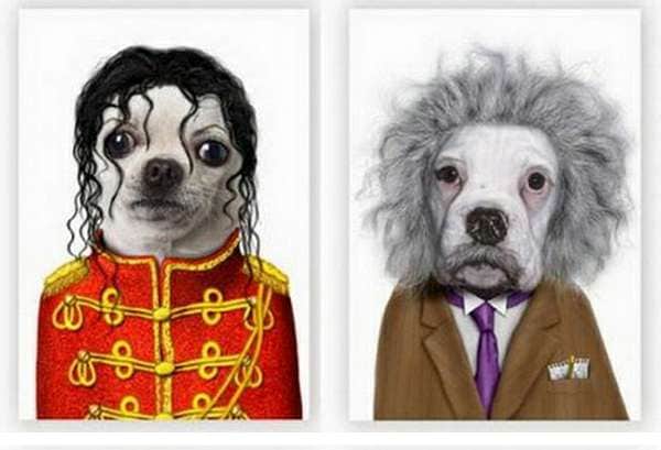 35 Adorable Animal Ensembles