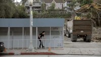 Stunning Suburban Skate Shorts Image 3