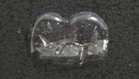 Protective Teeth Armor Image 2