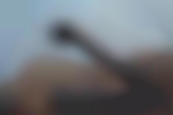 sunbuddy sunscreen applicator