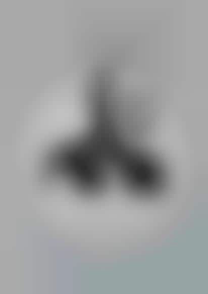 Dual Face Ads