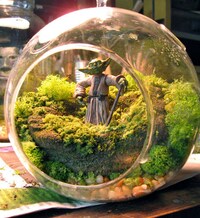 Sci-Fi Terrariums Image 2