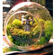 Sci-Fi Terrariums Image 2