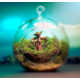 Sci-Fi Terrariums Image 3