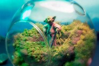 Sci-Fi Terrariums Image 4