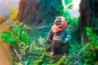 Sci-Fi Terrariums Image 5