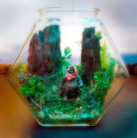 Sci-Fi Terrariums Image 6