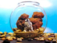 Sci-Fi Terrariums Image 7