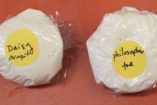 Designer Dairy Products