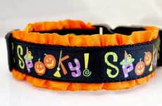 Creepy Canine Collars