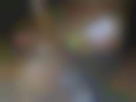 Public Library Homes