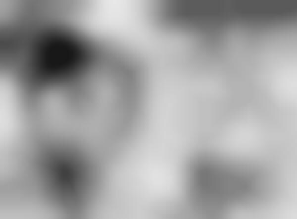 Cartooning Camera Apps