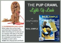 Illuminated Canine Cords Image 6