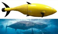 Seafaring Security Cyborgs