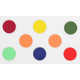 Painted Coin Shoe Accessories Image 3