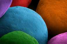 Up-Close Food Photographs