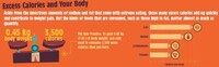 Massive Portion Infographics Image 7