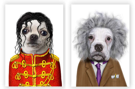 52 Animal Costumes