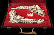 Creepy Calcified Rifles