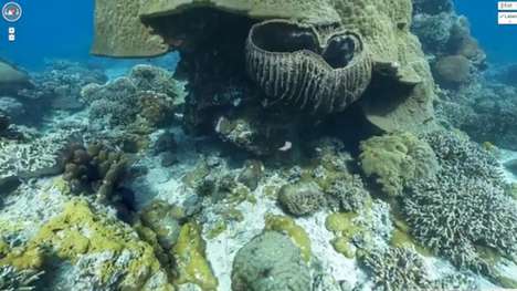 Submerged Panoramic Images