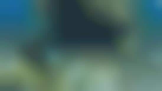 Submerged Panoramic Images
