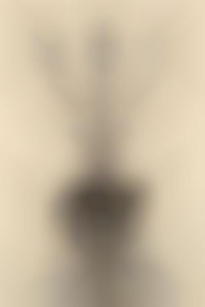 Melded Image Architecture Photos