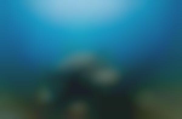 Submerged Sea Houses