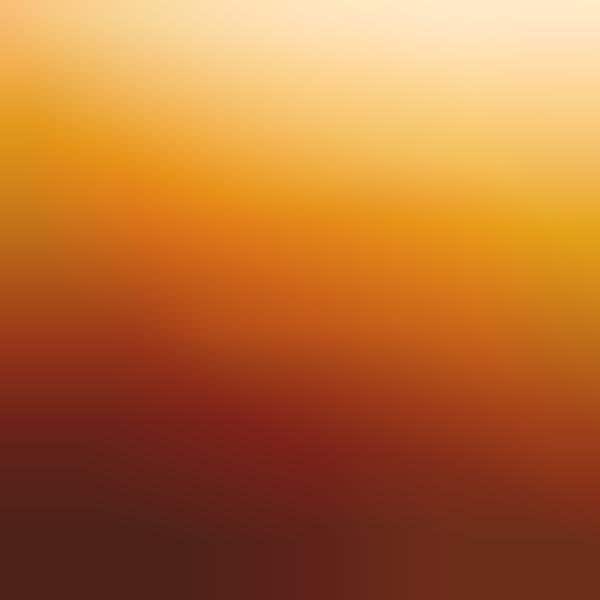 Sun-Drenched Desert Photography