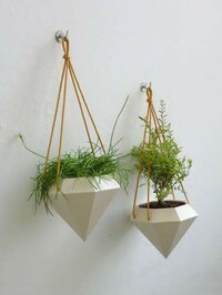Jewel-Shaped Plant Pots Image 2